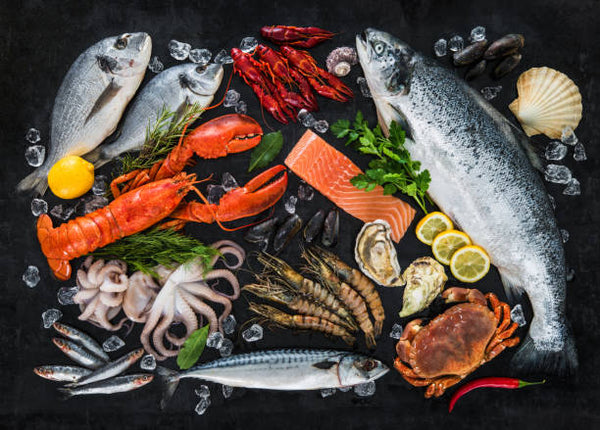 All Seafood