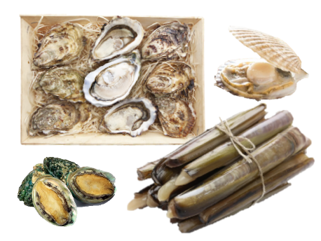 Oysters, Scallops, Clams & Mussels