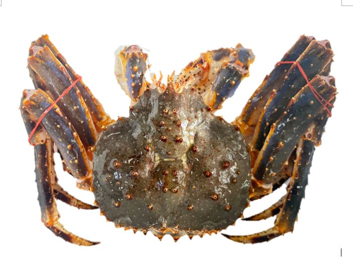 Frozen Raw King Crab