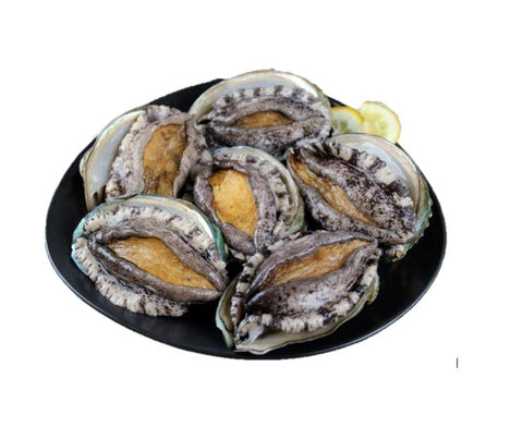 Live Abalone - Evergreen Seafood
