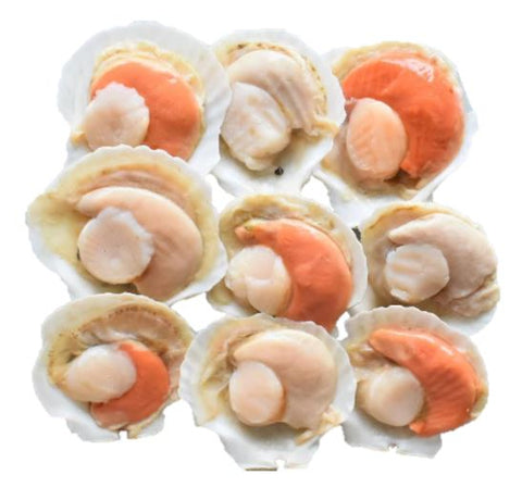 Frozen Half Shell Scallops - Evergreen Seafood