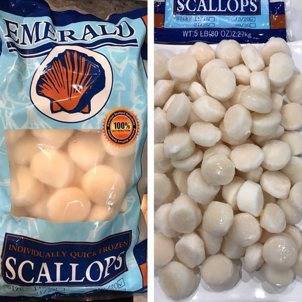 Frozen Canadian Scallops - Evergreen Seafood