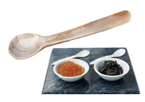 Shell Caviar Spoon - Evergreen Seafood