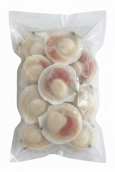 Frozen Half Shell Scallops - Evergreen Seafood