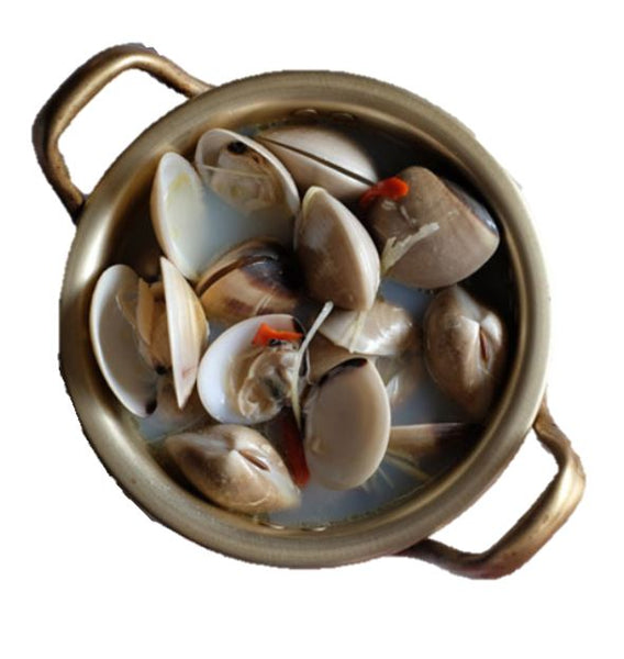 Live Venus Clams (Lala) - Evergreen Seafood