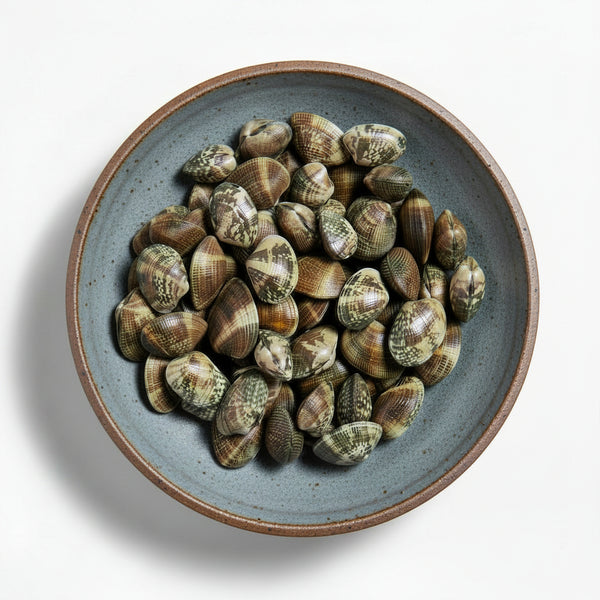 Live Canada/US Manila Clams