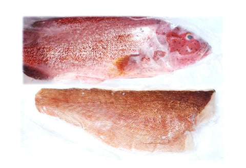 Frozen Red Grouper - Evergreen Seafood