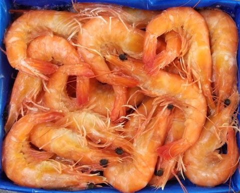 Frozen Cooked Vannamei Prawns (Head On/Shell On) - Evergreen Seafood