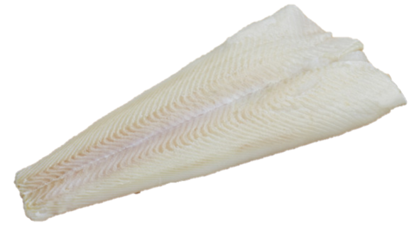 Frozen Halibut Fillet - Evergreen Seafood