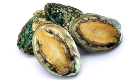 Live Abalone - Evergreen Seafood
