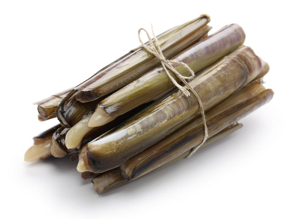 Live Scotland Razor Clams - Evergreen Seafood