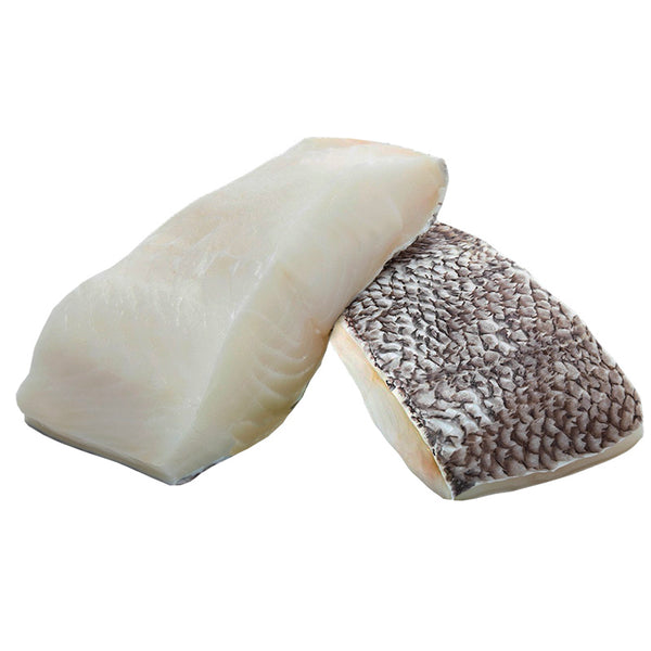 Frozen White Cod (Chilean Seabass) - Evergreen Seafood