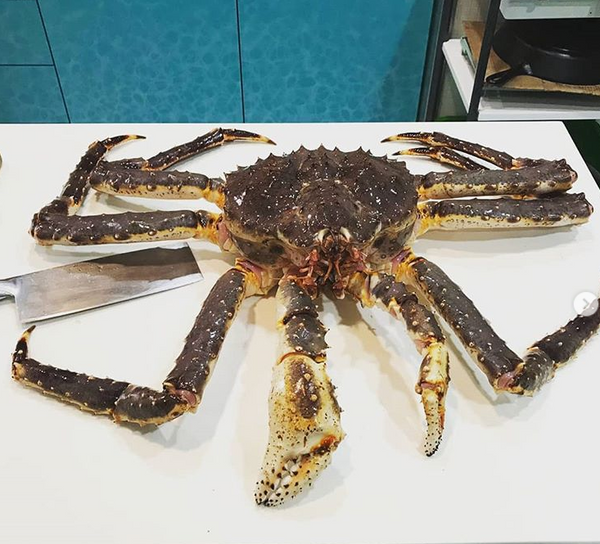 Live Alaskan King Crab - Evergreen Seafood