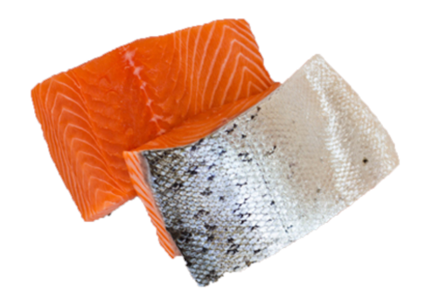 Frozen Salmon Fillet Portion - Evergreen Seafood