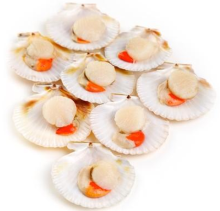 Frozen Half Shell Scallops with Roe - Evergreen Seafood