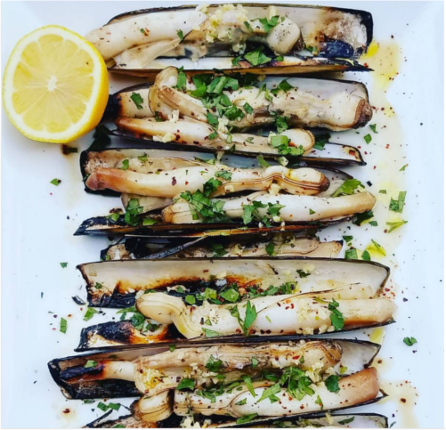 Live Scotland Razor Clams - Evergreen Seafood