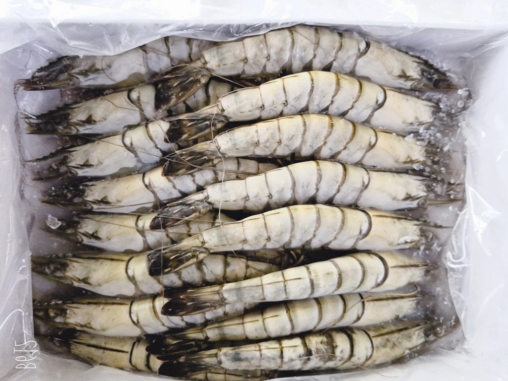 Frozen Tiger Prawn (Head On/Shell On) - Evergreen Seafood
