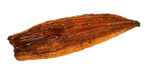 Frozen Roasted Eel (Unagi) - Evergreen Seafood